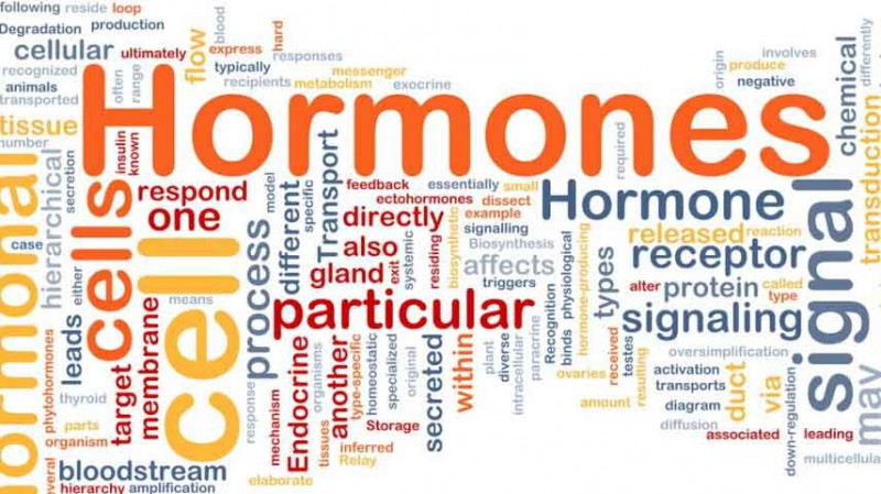 Hormonen beïnvloeden je huid. wat doe je er aan?