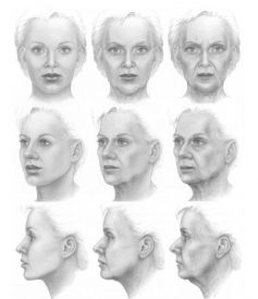 Verouderingsproces gezicht - anatomische onderbouwing